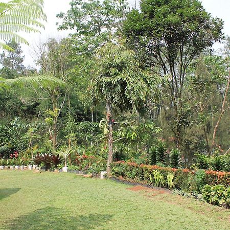 The Forest Villa Bogor Kültér fotó