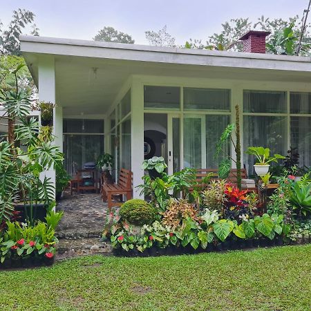 The Forest Villa Bogor Kültér fotó