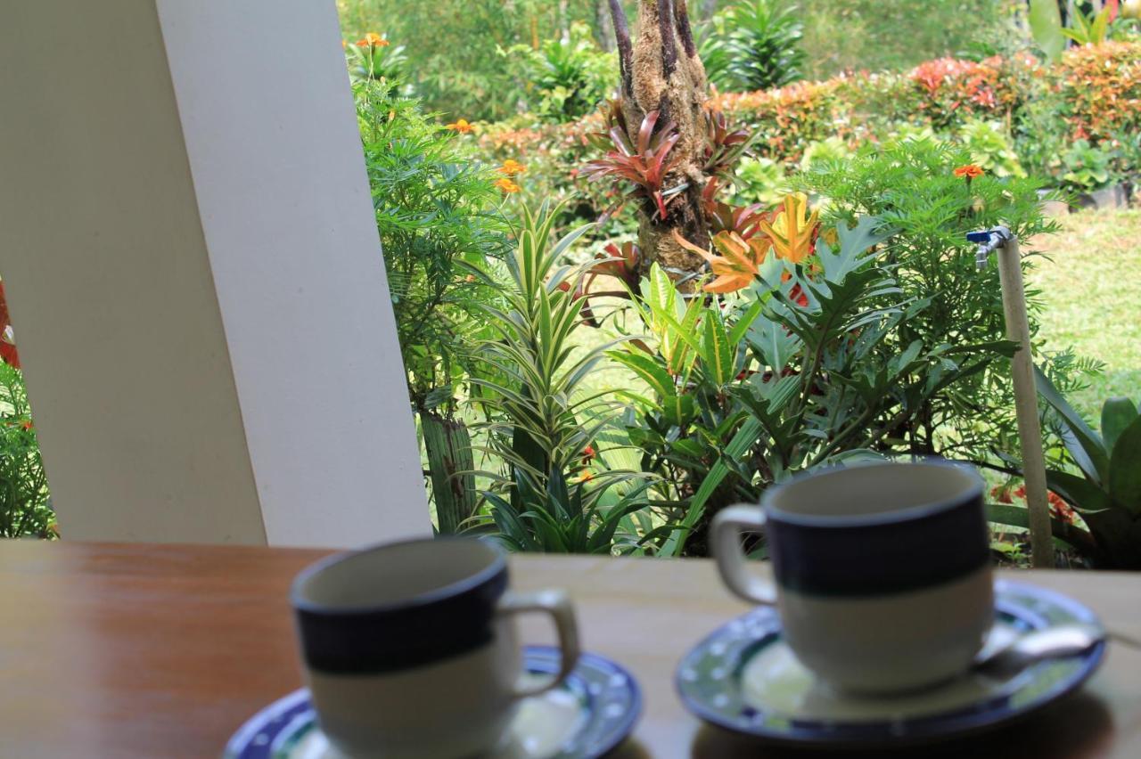 The Forest Villa Bogor Kültér fotó