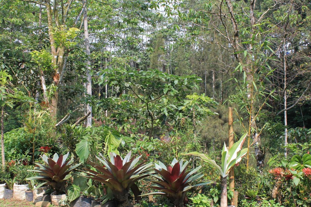 The Forest Villa Bogor Kültér fotó