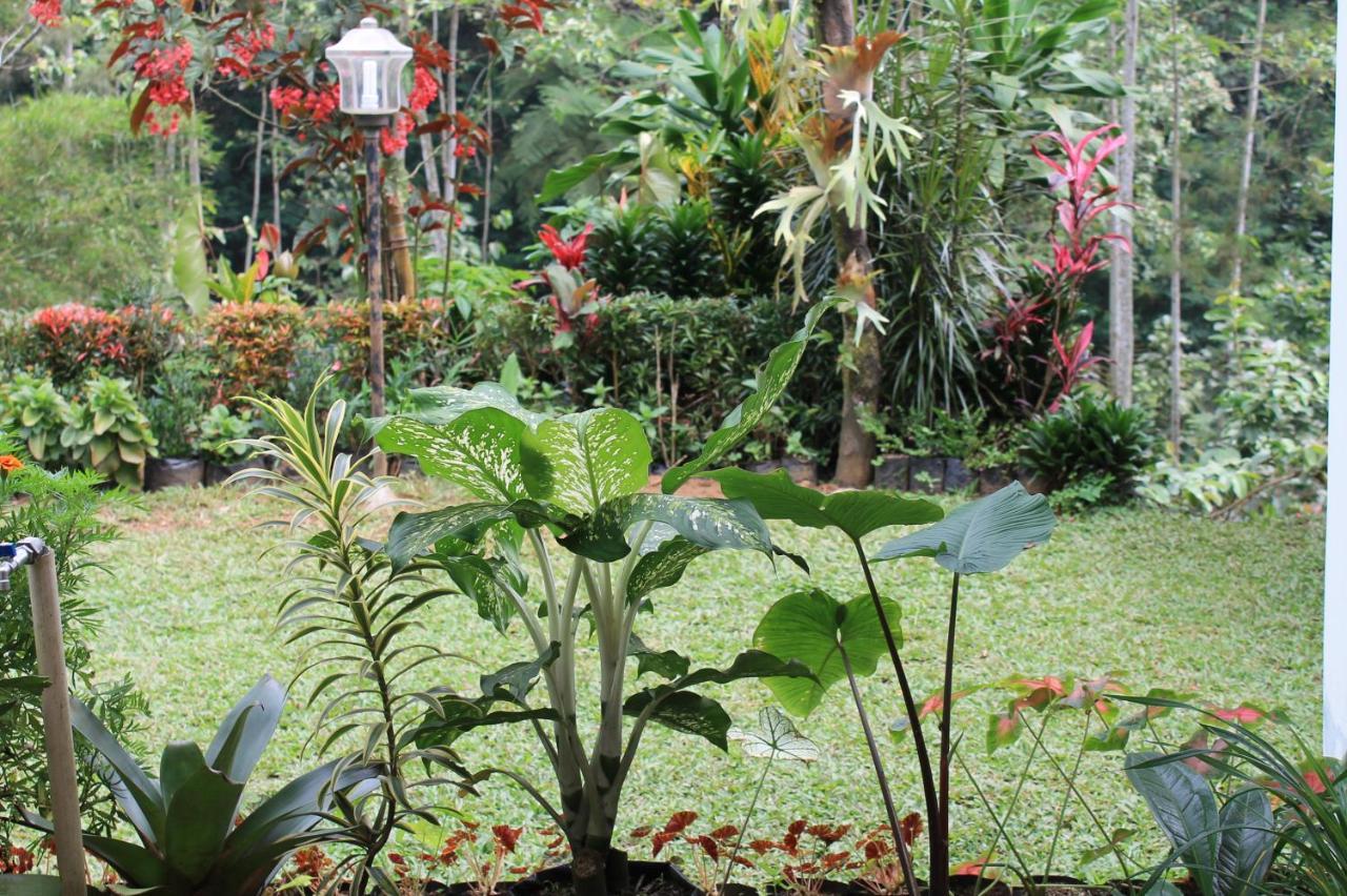 The Forest Villa Bogor Kültér fotó