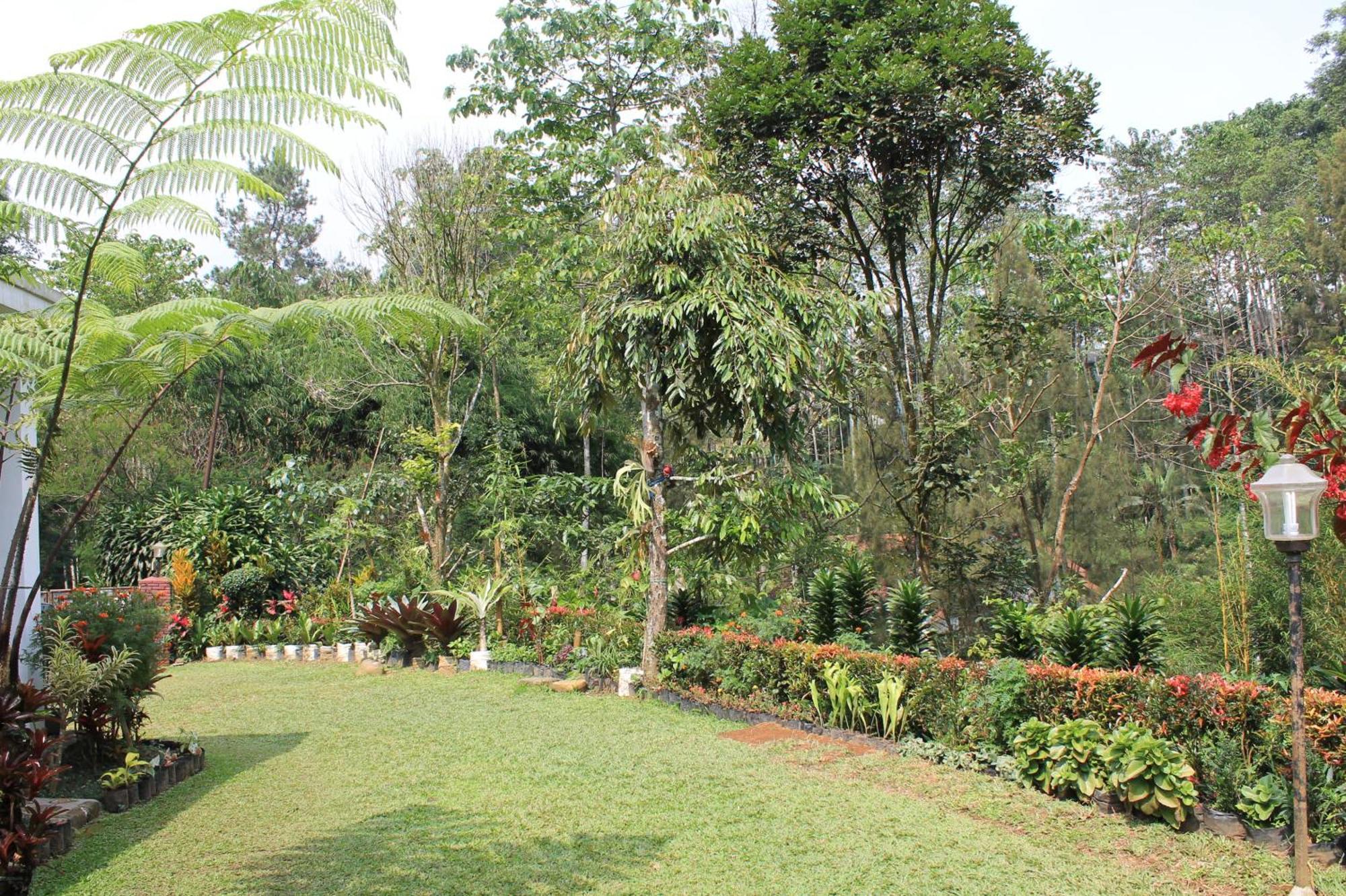 The Forest Villa Bogor Kültér fotó