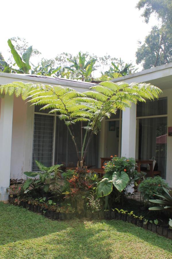 The Forest Villa Bogor Kültér fotó