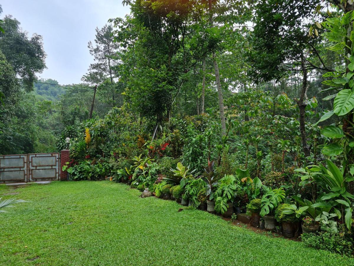 The Forest Villa Bogor Kültér fotó