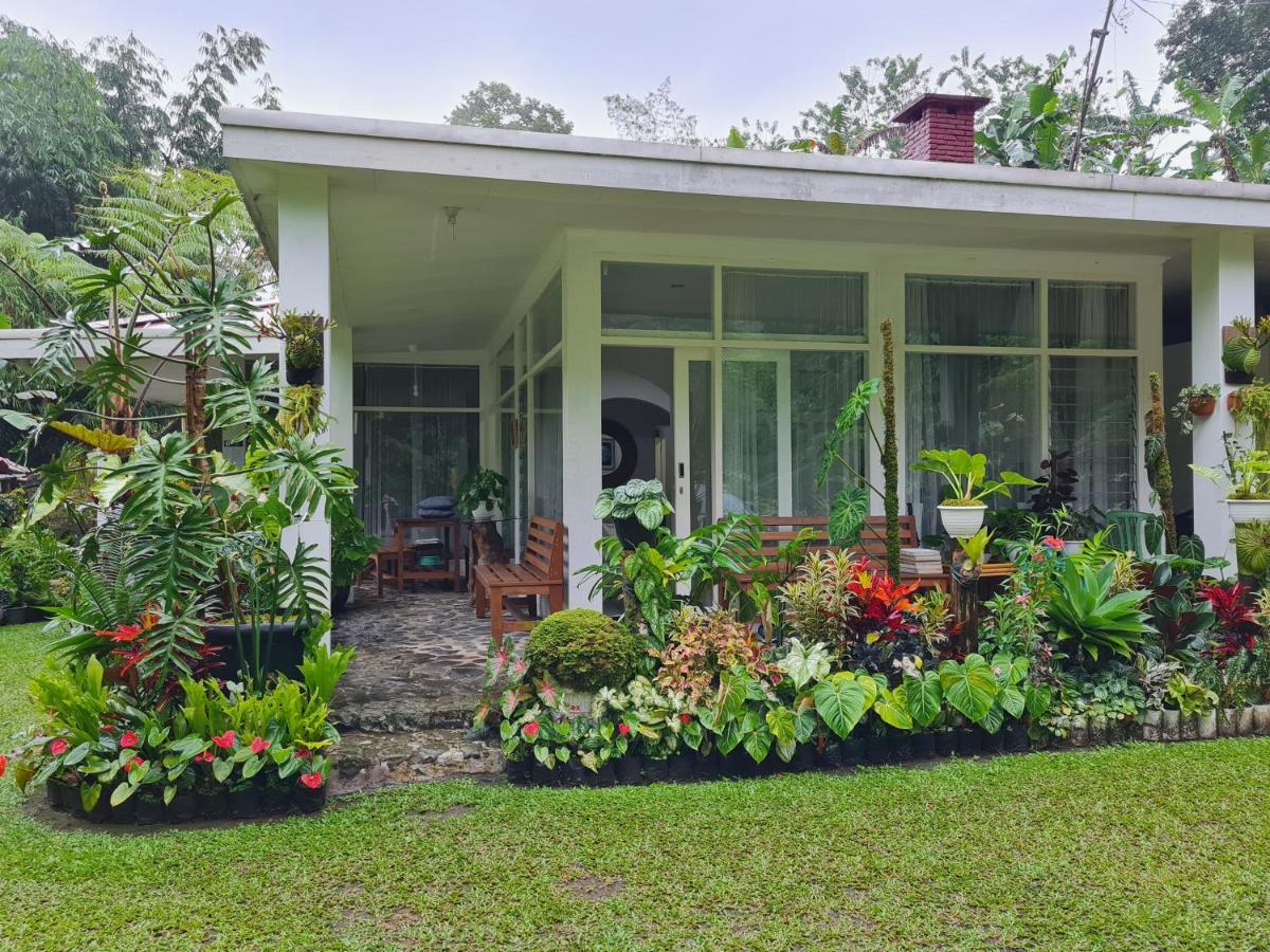 The Forest Villa Bogor Kültér fotó