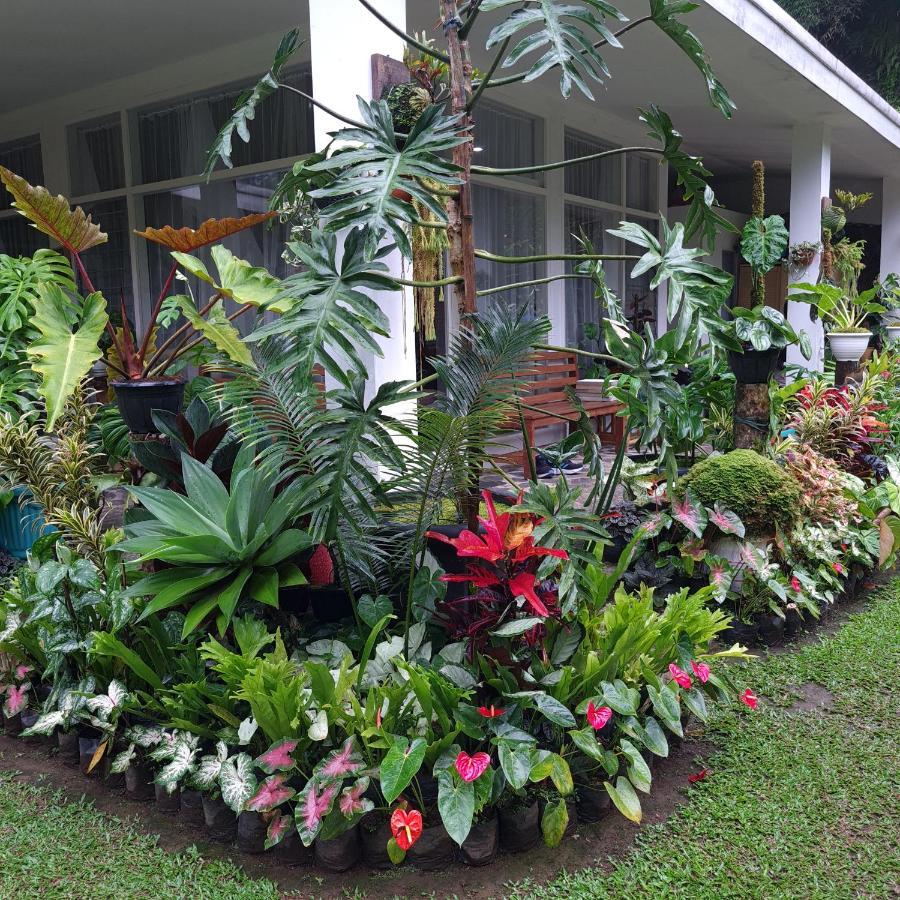 The Forest Villa Bogor Kültér fotó